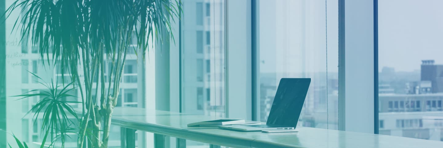 office with laptop on desk and plants